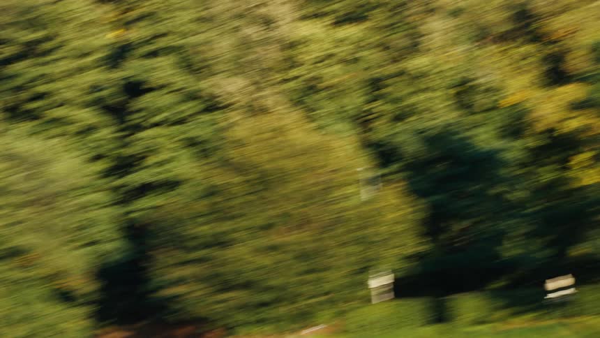 A fast-moving, motion-blurred point-of-view shot of a dense green forest from a vehicle window