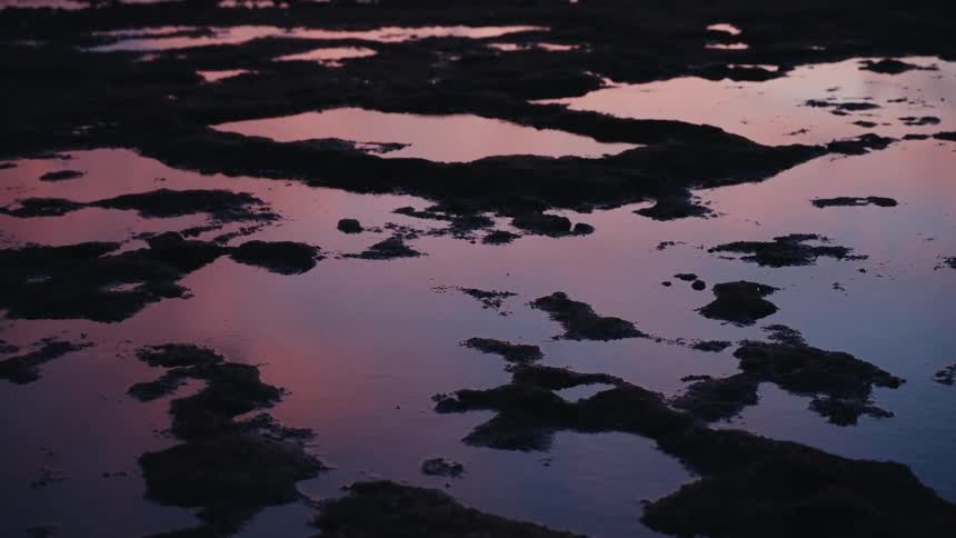The tranquil surface of tide pools mirrors the colorful pink and purple sky at dusk