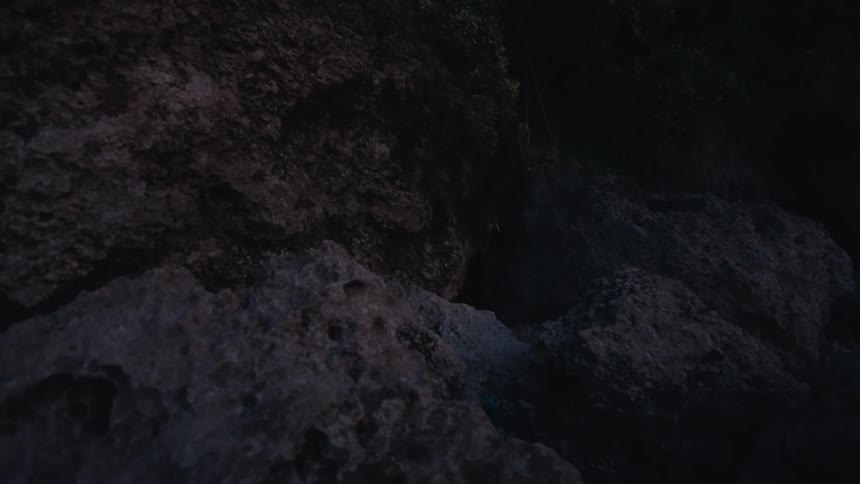 Close-up of glowing fireflies flying and blinking around a dark, rocky crevice at night
