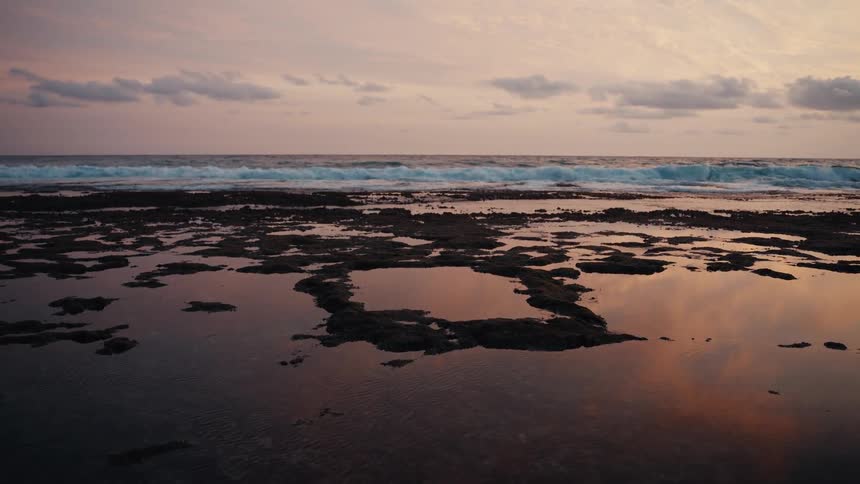 Ocean waves break on a rocky shoreline with tide pools reflecting the pastel sunset sky