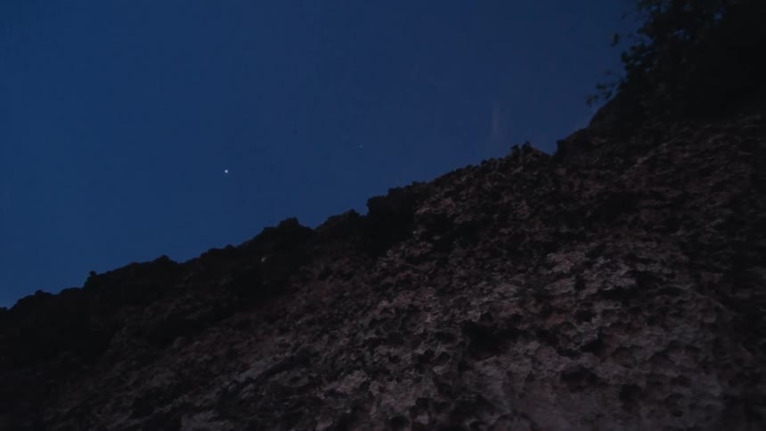 A low-angle view shows bats and fireflies flying around a rocky cliff at night under a starry sky