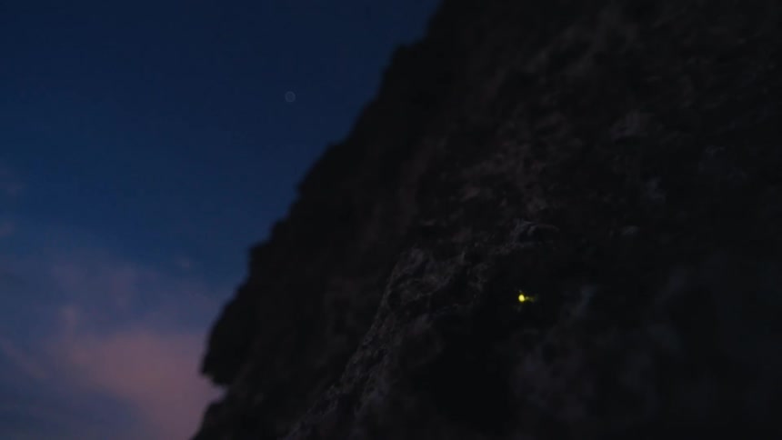 A close-up of fireflies flashing their bioluminescent lights on a rock against a beautiful dusky sky