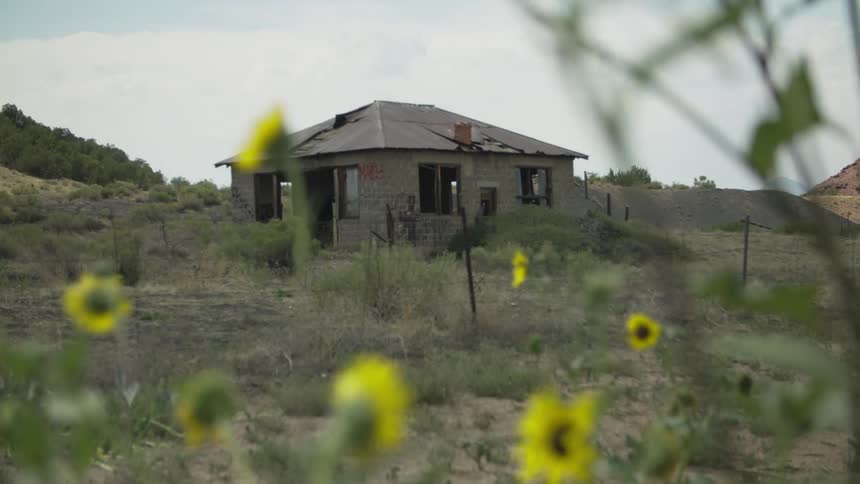 An old, abandoned stone house sits on a desolate hill, viewed through out-of-focus yellow wildflowers in the foreground