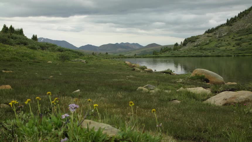 Wildflowers bloom on the grassy shore of a serene alpine lake in a vast mountain landscape on a cloudy day