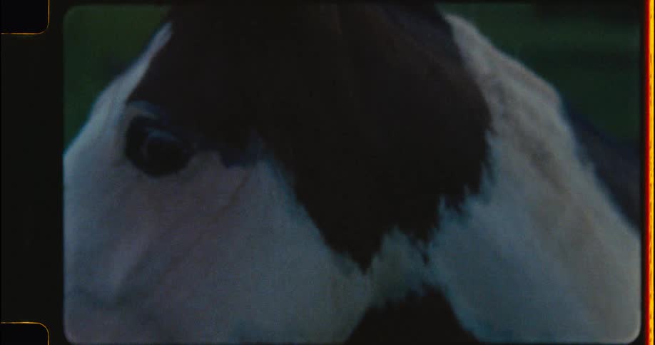Vintage film footage captures a mother horse and foal running in a field, followed by intimate close-ups of horses' faces at dusk