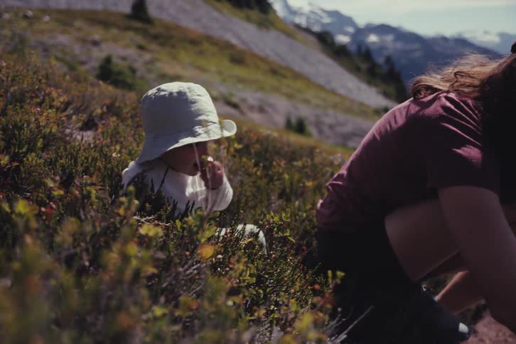 A toddler in a sun hat and their mother pick wild berries together on a sunny mountainside