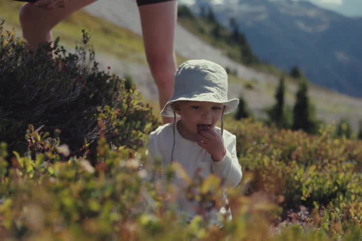 A cute toddler in a sun hat eats wild berries from a bush on a sunny mountain in slow motion