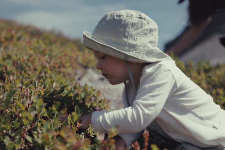 A curious toddler in a sun hat carefully picks and eats wild berries from a bush while hiking on a sunny mountainside