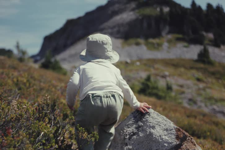 A curious toddler in a sun hat explores a sunny mountain meadow, picking and eating wild berries in slow motion
