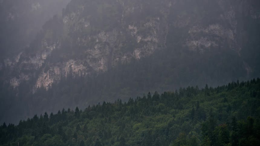 Rain falls on a dense evergreen forest covering the base of a rocky, misty mountain range