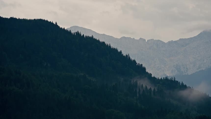 Atmospheric timelapse of thick fog dissipating over a dark, tree-covered mountain range under an overcast sky