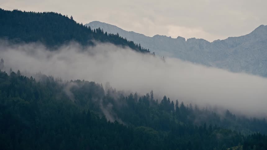 Thick fog and wispy clouds slowly drift across a vast mountain range covered in a dense pine forest