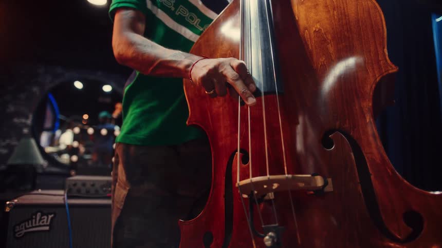 A low-angle shot tilts down from a musician's face to his hands as he expertly plays the upright bass in a cool, dimly lit studio