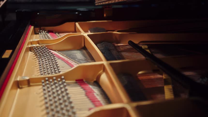 A detailed, close-up view shows the hammers striking the strings inside a grand piano as music is being played