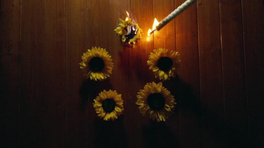 A burning sunflower is reignited by a sparkler in a dark, ritualistic setting on a wooden floor
