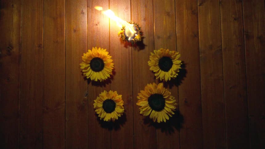 A burning wreath of flowers hangs above four sunflowers on a wooden paneled wall in slow motion