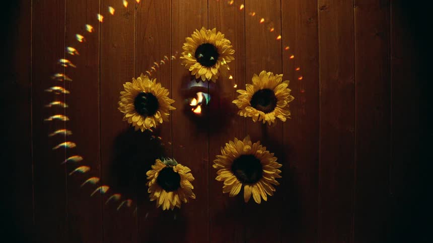 A spinning ring of colorful light illuminates a circle of five sunflowers and a central candle in a dark room