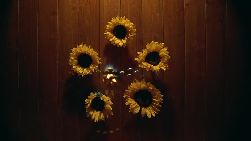 Sunflowers form a circle around a mysterious flame as shimmering, colorful light dances across a dark wooden surface