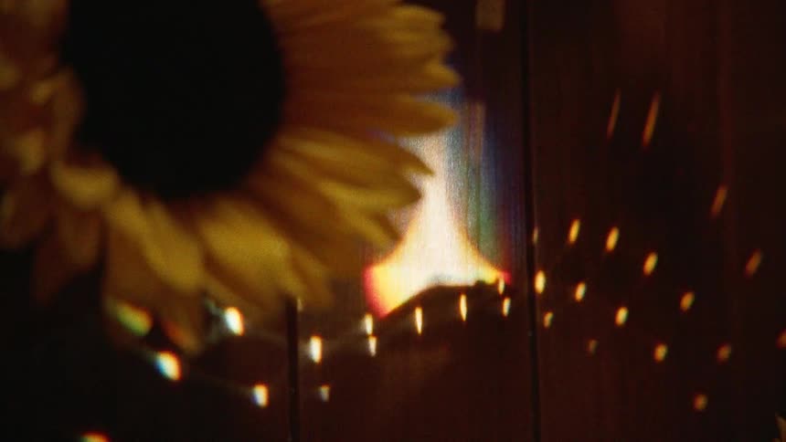 Close-up of a blurred sunflower with a mesmerizing, colorful light refraction creating patterns on a wooden surface