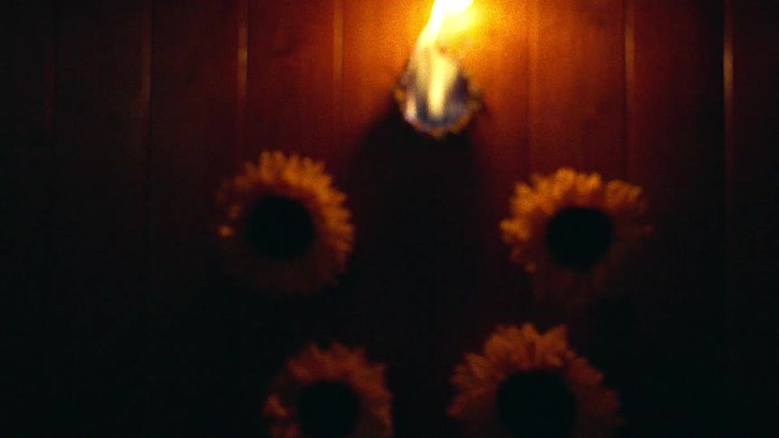 A single sunflower burns intensely on a dark wooden wall, slowly revealing a formation of unlit flowers in a mysterious pullback shot