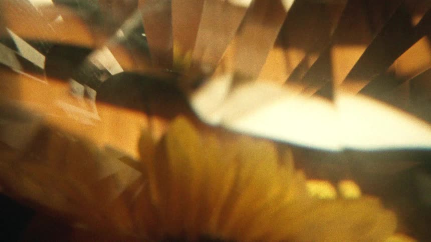 A dreamy, kaleidoscopic view of a yellow flower is refracted through the facets of a golden gemstone