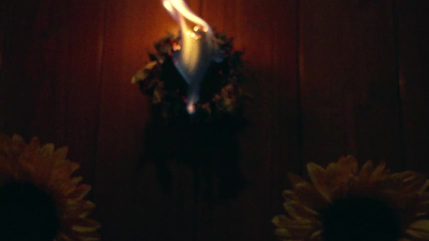 A lone sunflower slowly burns in the center of a wooden background, framed by two other sunflowers in the darkness