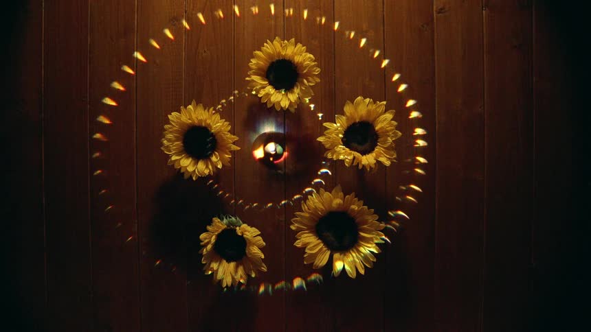 A mysterious ritual unfolds as sunflowers in a pentagram, lit by a refracted rainbow, are set ablaze in a dark room