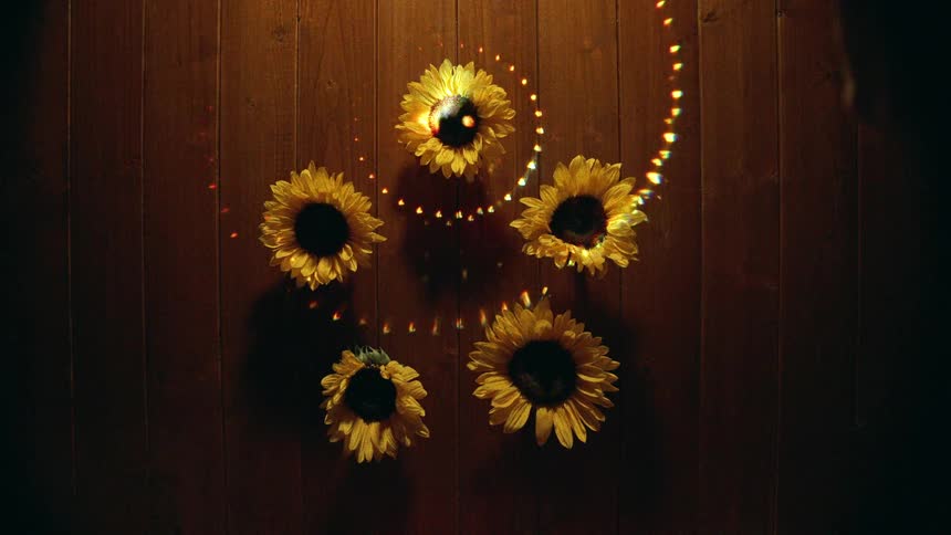 A mystical top-down shot of sunflowers on a wooden floor as a swirling psychedelic light pattern dances across them