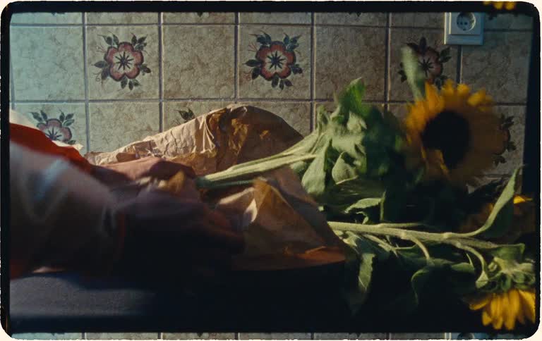 A person carefully unwraps a bouquet of fresh sunflowers from brown paper on a vintage kitchen counter