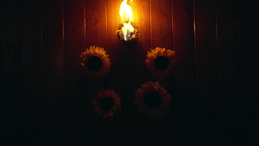 A single sunflower burns intensely atop a five-flower arrangement on a dark wooden wall