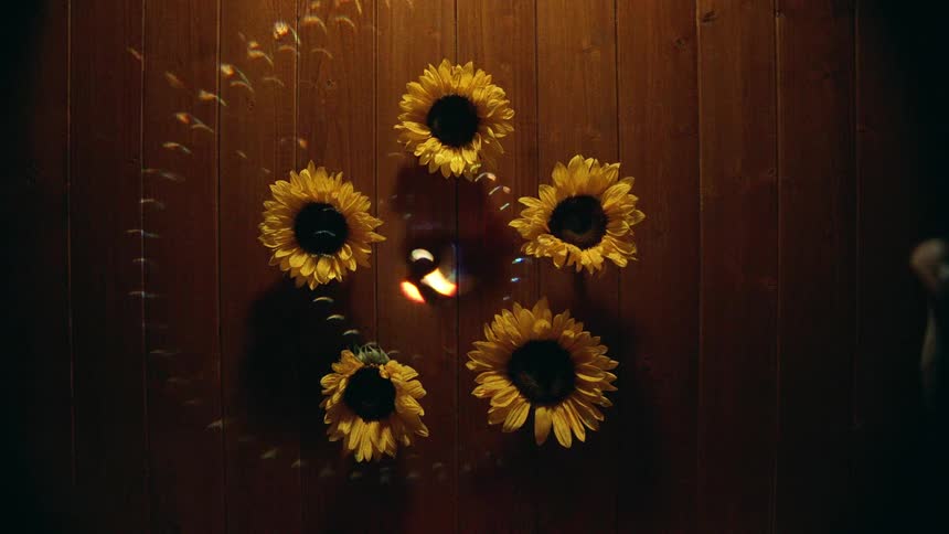 A mystical circle of rainbow light illuminates a spiritual arrangement of five sunflowers and a central flickering candle on a wooden floor