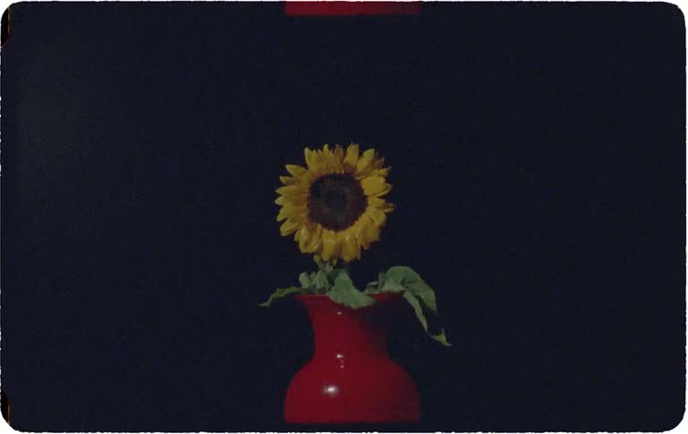 A single sunflower sits in a bright red vase against a dark background in a grainy, vintage-style shot
