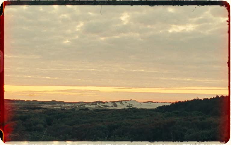 A static, vintage-style shot shows a golden sunset over a forested area leading to sand dunes on the horizon