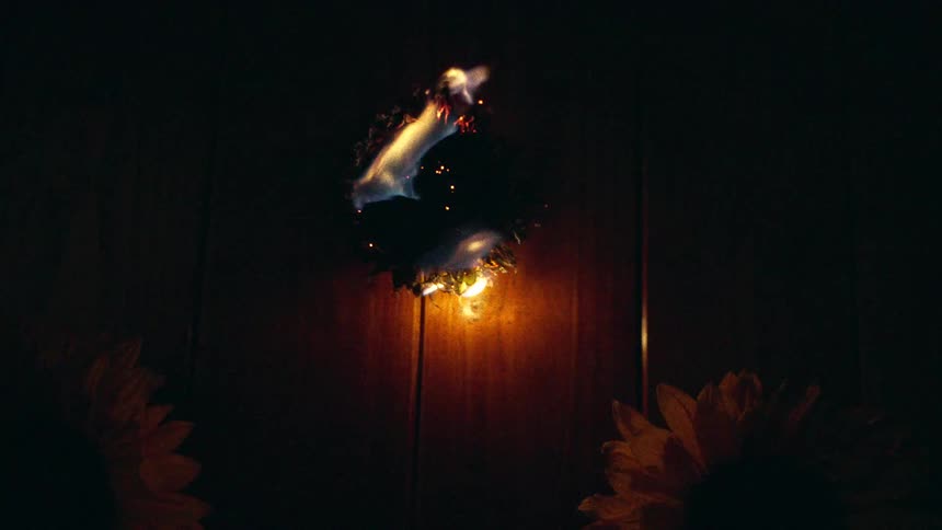 A bright yellow sunflower is engulfed in intense flames, burning slowly against a dark, woody background