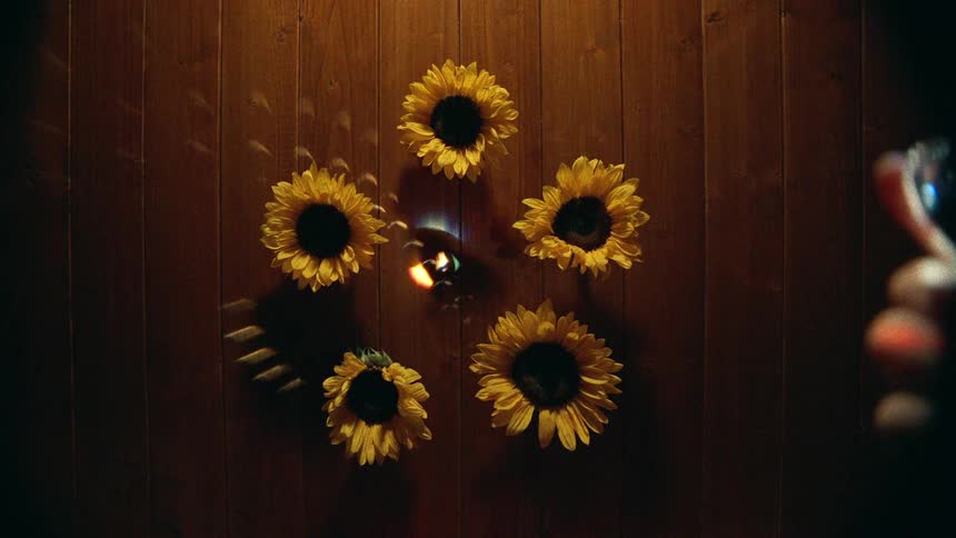 A mystical overhead shot of five sunflowers surrounding a flickering candle as shimmering rainbow light dances around them on a wood floor