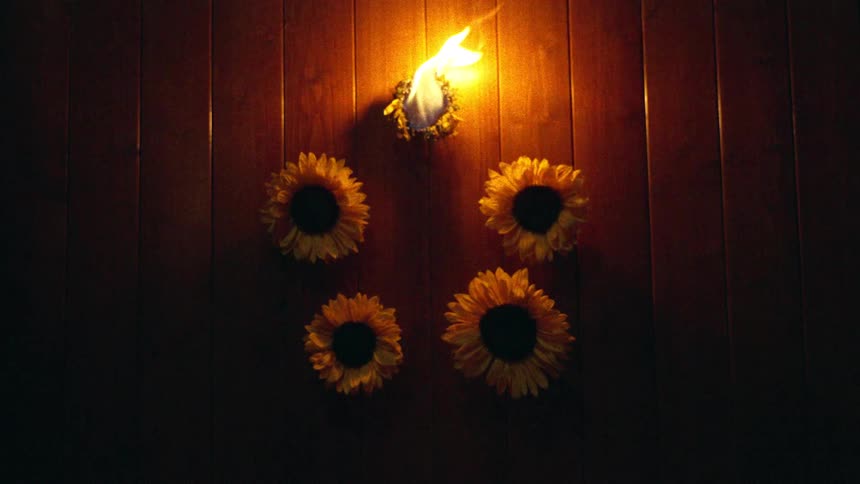 A single sunflower burns above four others on a dark wooden floor, its flame the only source of light