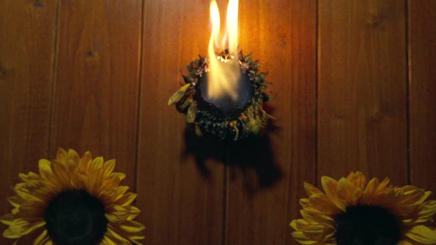 An artistic slow-motion shot captures a sunflower head being consumed by a bright flame on a wooden surface, framed by two other sunflowers
