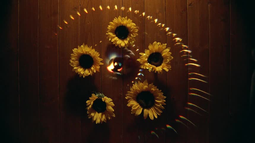 A mystical overhead view shows a flickering candle surrounded by five sunflowers as a prismatic rainbow light pattern spins around them