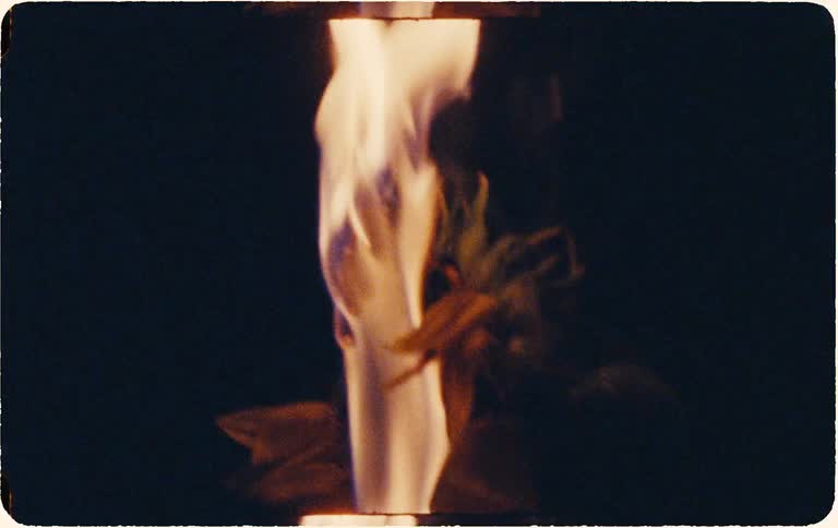 A close-up shot on vintage film shows a dried plant bursting into flames against a dark background
