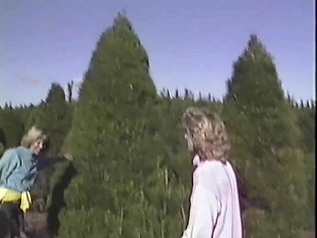Vintage footage shows a family with young children searching for the perfect tree at a sunny Christmas tree farm