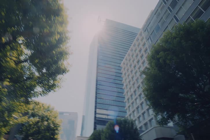 A point-of-view driving shot looking up at sunlit skyscrapers through trees before panning down to a garbage truck on a city street