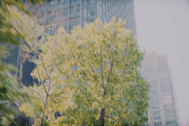 A dreamy point-of-view journey driving and walking through the modern, tree-lined streets of Tokyo, looking up at towering skyscrapers