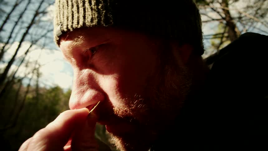 Intimate close-up of a bearded man in a beanie smelling a freshly picked plant in the woods