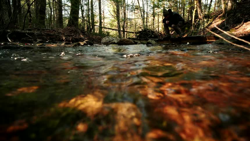 Calm water flows over colorful rocks in a shallow forest creek as a person rests on the far bank