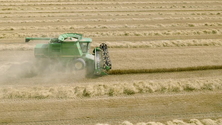 High-angle slow-motion shot of a green combine harvester reaping a dry golden crop in a dusty field