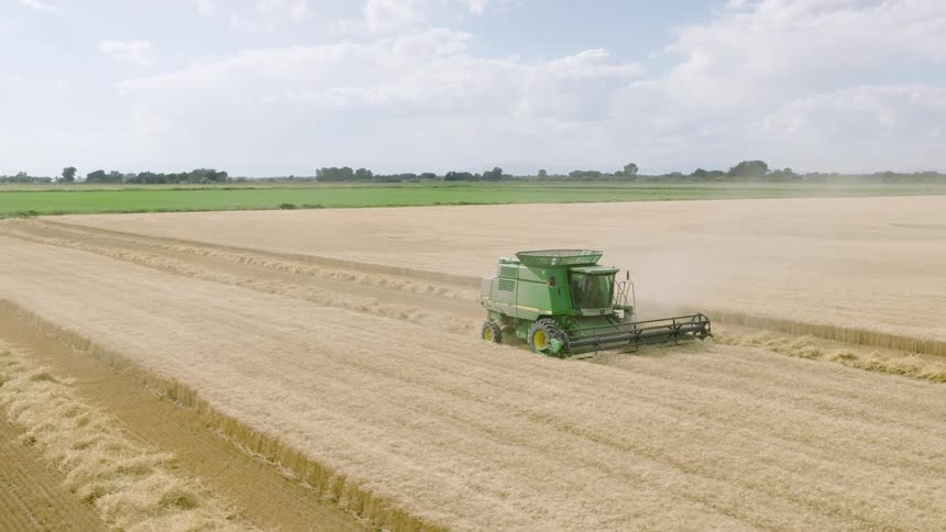 An aerial view captures a combine harvester at work, reaping a vast golden wheat field under a bright sky