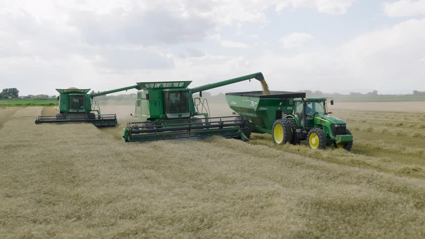 An aerial view captures two large combine harvesters working in tandem to reap a crop, with one offloading its grain into a tractor-pulled grain cart