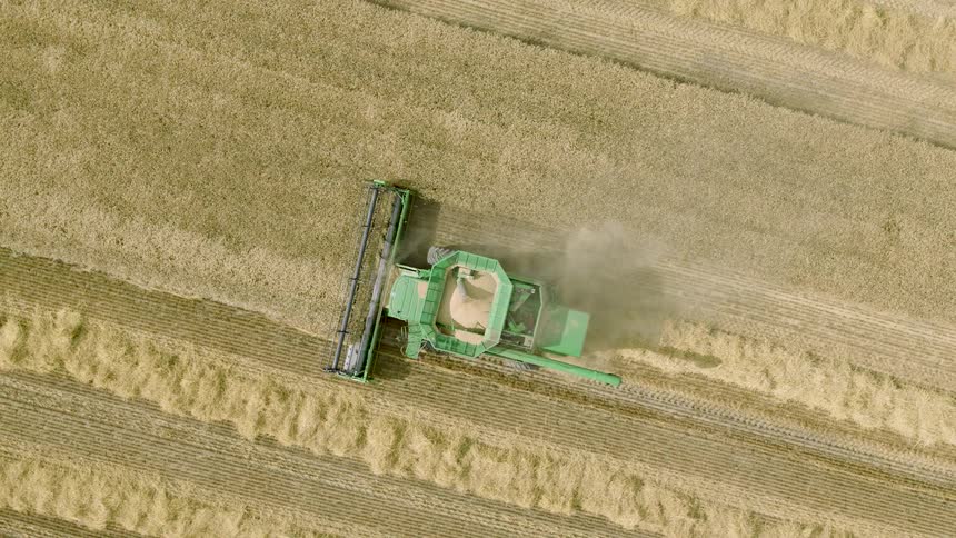 A top-down aerial view follows a green combine harvester as it cuts through a vast golden field, reaping the crops