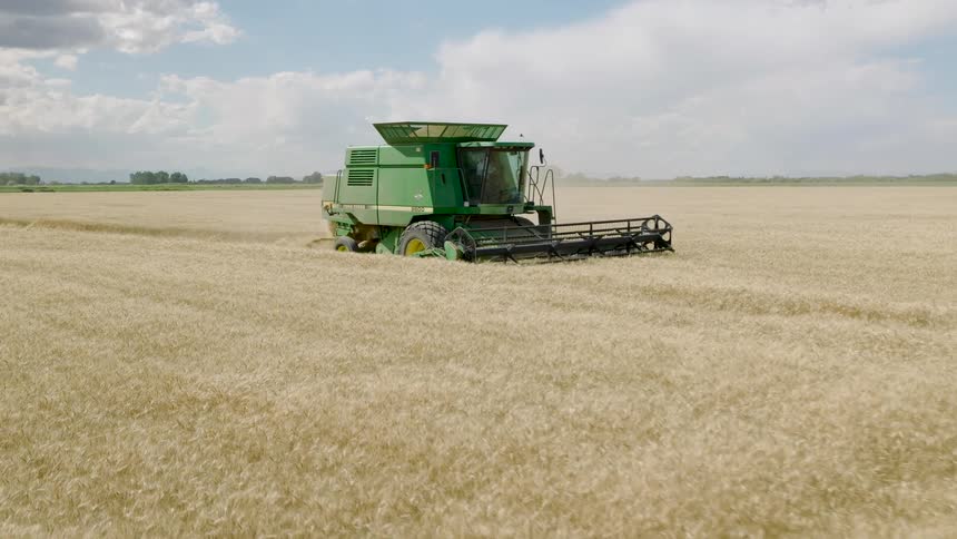 A large green combine harvester works its way through a vast golden wheat field under a partly cloudy sky