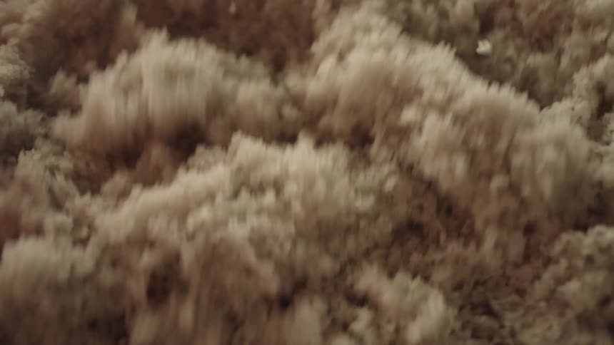 A close-up, top-down view shows granulated raw sugar being churned and mixed in an industrial machine